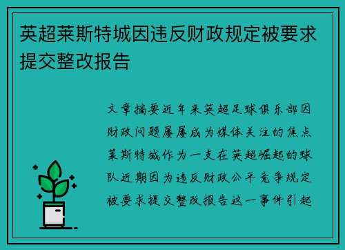 英超莱斯特城因违反财政规定被要求提交整改报告